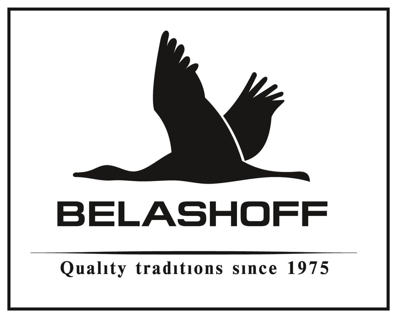 companies.belashoff